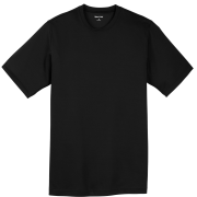 Nike DriFit Polo