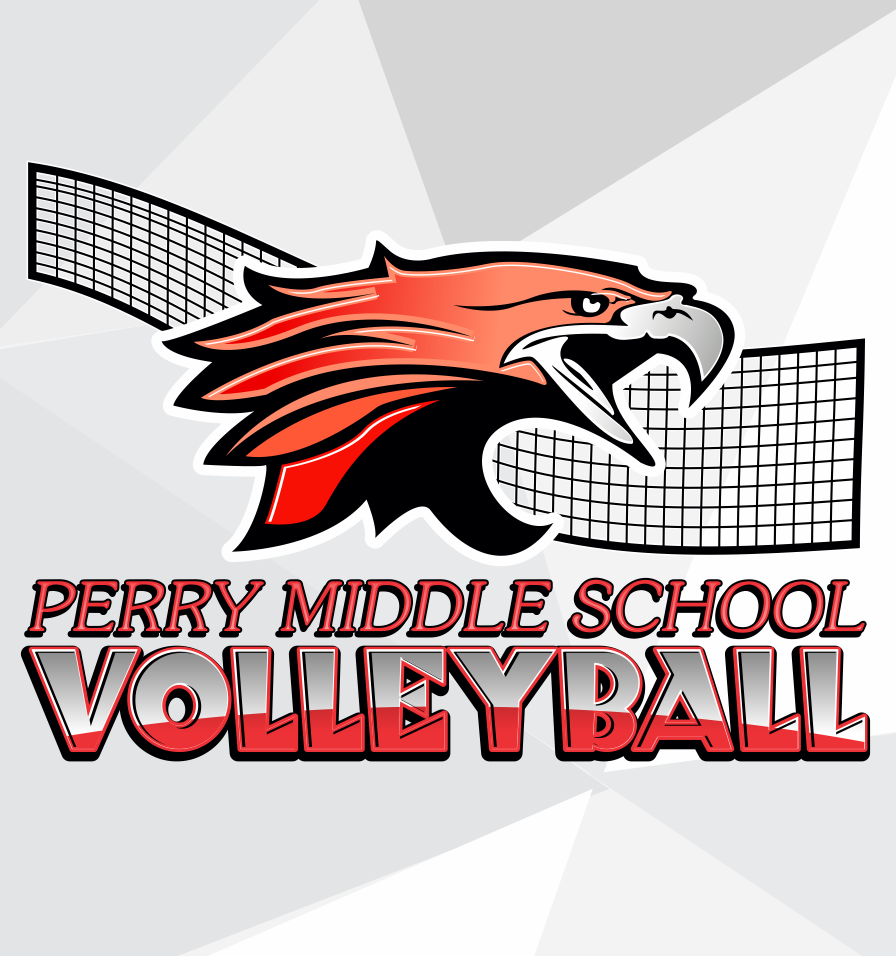 Spirit Supply Store Volleyball