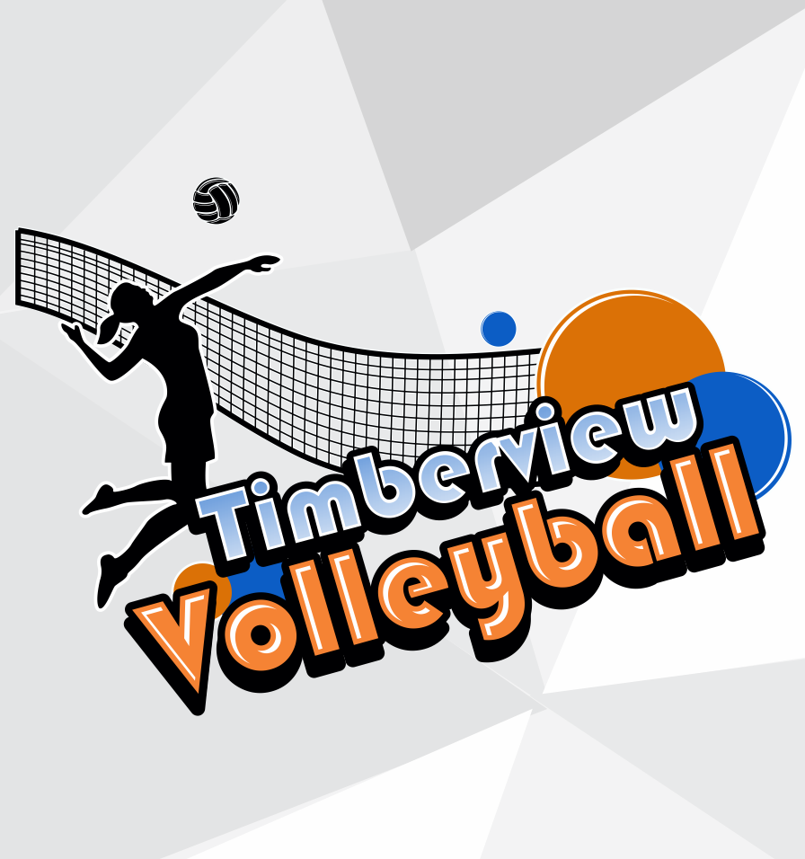 Spirit Supply Store Volleyball